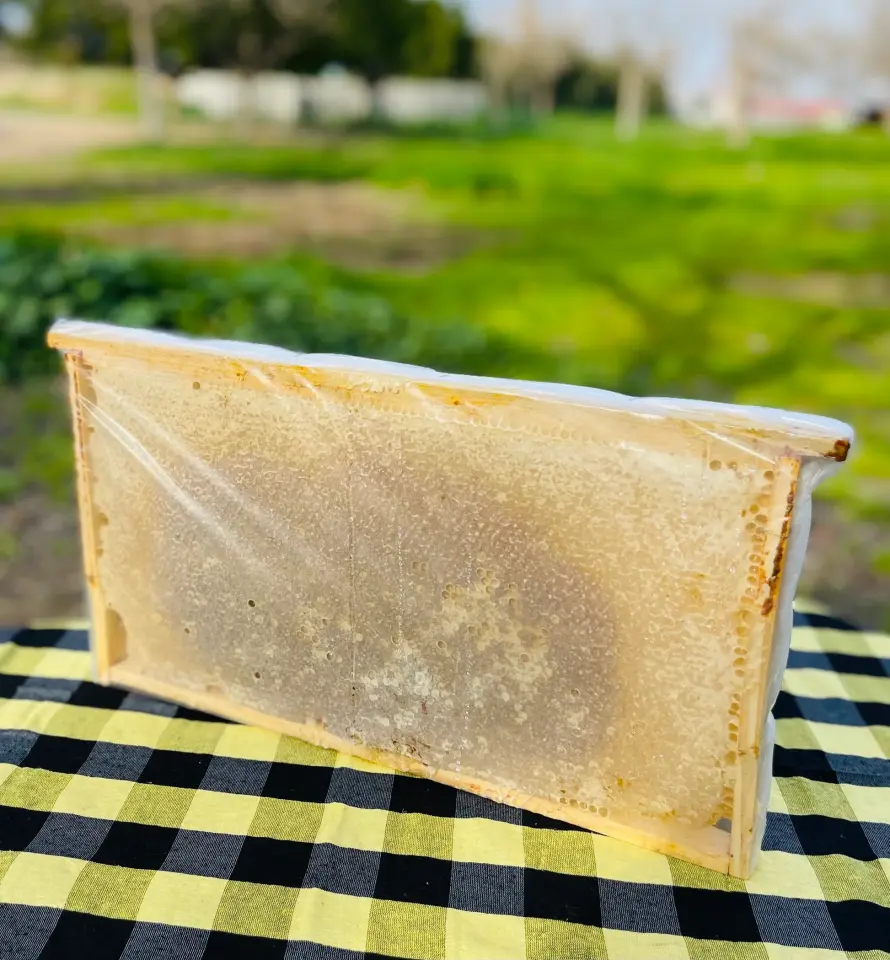PETEK ÇİÇEK BALI ( 1.5 kg)