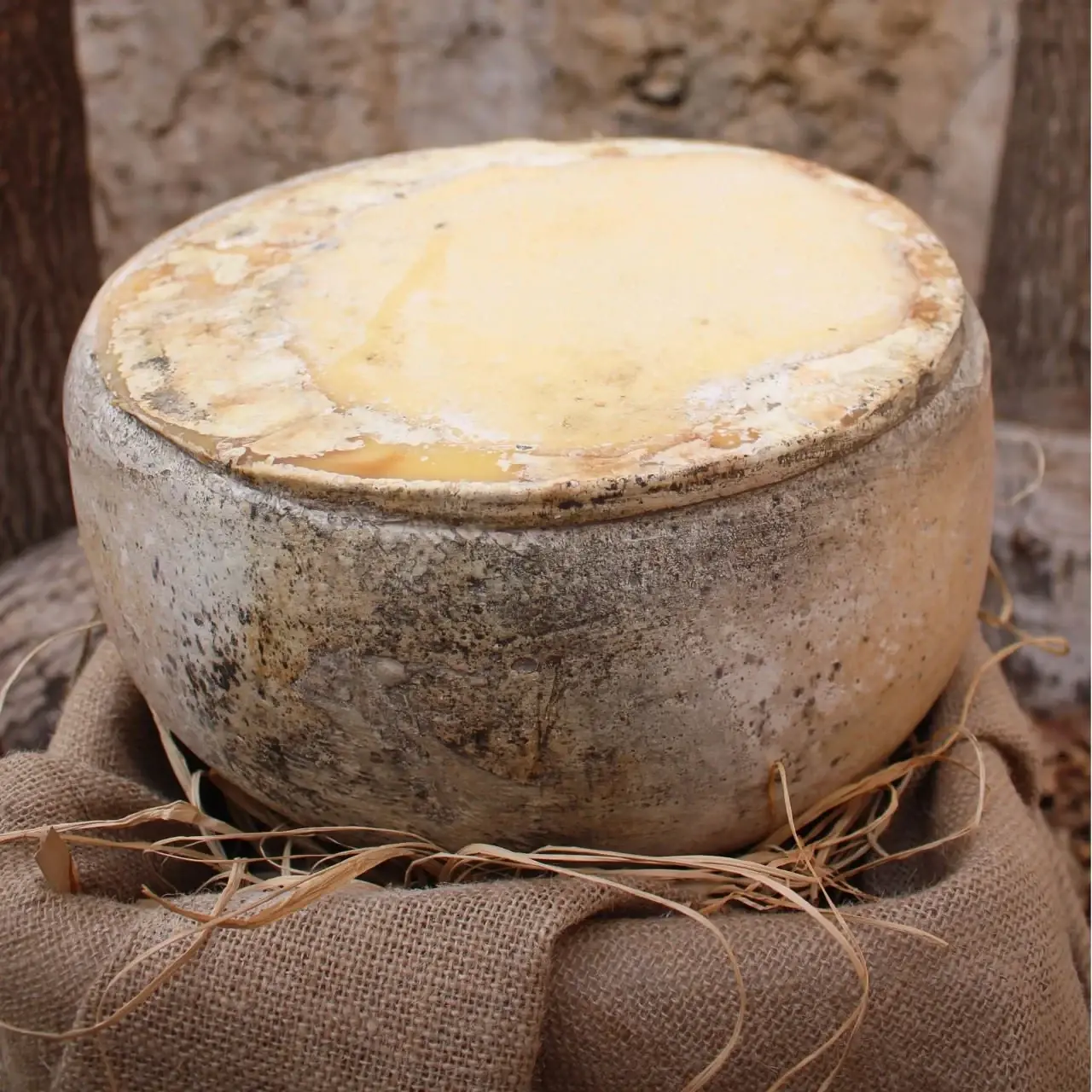 KARS ESKi KAŞAR  ( TEKER )